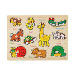 Wooden Puzzle Hand Grab Board Set