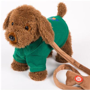 Electric Leash Dog Colorful  Teddy  Toy