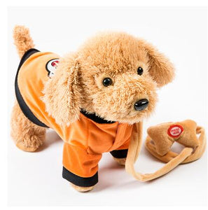 Electric Leash Dog Colorful  Teddy  Toy