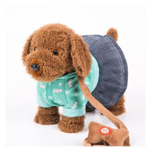 Electric Leash Dog Colorful  Teddy  Toy