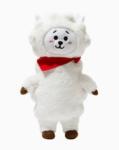 Load image into Gallery viewer, 30Cm/20cm KPOP Korean Fashion Stuffed Doll