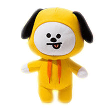 Load image into Gallery viewer, 30Cm/20cm KPOP Korean Fashion Stuffed Doll