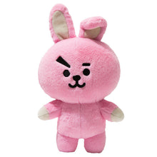 Load image into Gallery viewer, 30Cm/20cm KPOP Korean Fashion Stuffed Doll