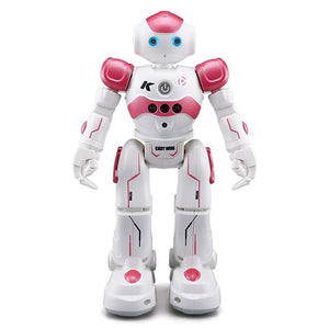 USB Charging Singing Dancing Gesture Control RC Robot