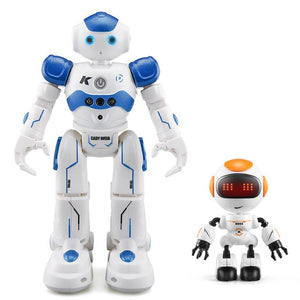 USB Charging Singing Dancing Gesture Control RC Robot