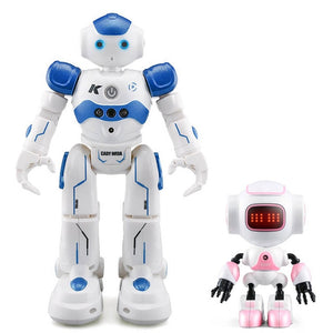 USB Charging Singing Dancing Gesture Control RC Robot