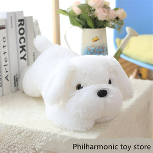 1pc 50cm Luminous Dog Plush Doll