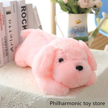 Load image into Gallery viewer, 1pc 50cm Luminous Dog Plush Doll