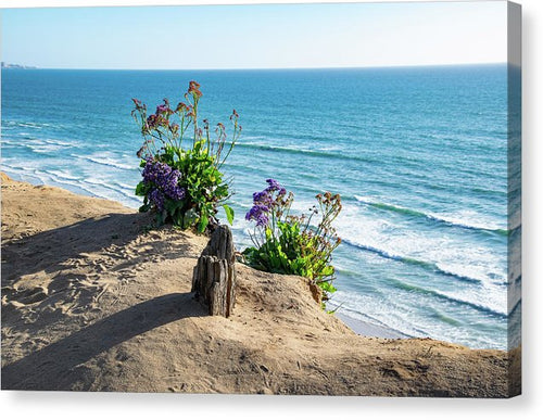 Shadows On The Sand - Canvas Print