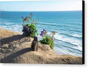 Shadows On The Sand - Canvas Print