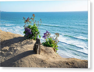 Shadows On The Sand - Canvas Print