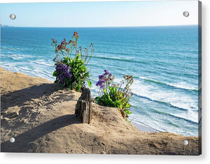 Shadows On The Sand - Acrylic Print