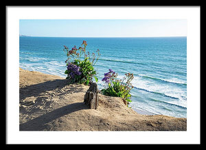 Shadows On The Sand - Framed Print