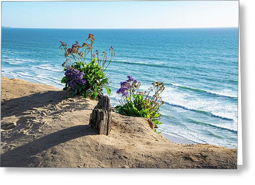 Shadows On The Sand - Greeting Card