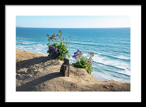 Shadows On The Sand - Framed Print