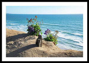 Shadows On The Sand - Framed Print