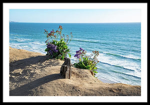 Shadows On The Sand - Framed Print