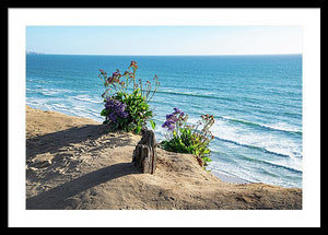 Shadows On The Sand - Framed Print