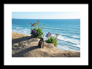 Shadows On The Sand - Framed Print