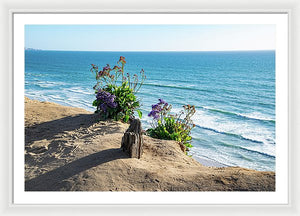 Shadows On The Sand - Framed Print