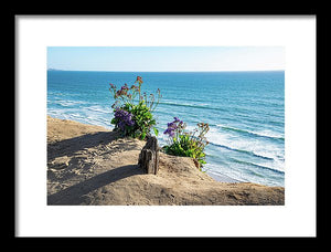 Shadows On The Sand - Framed Print