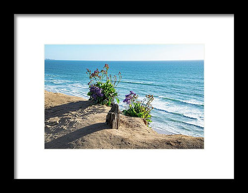 Shadows On The Sand - Framed Print