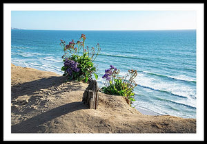 Shadows On The Sand - Framed Print